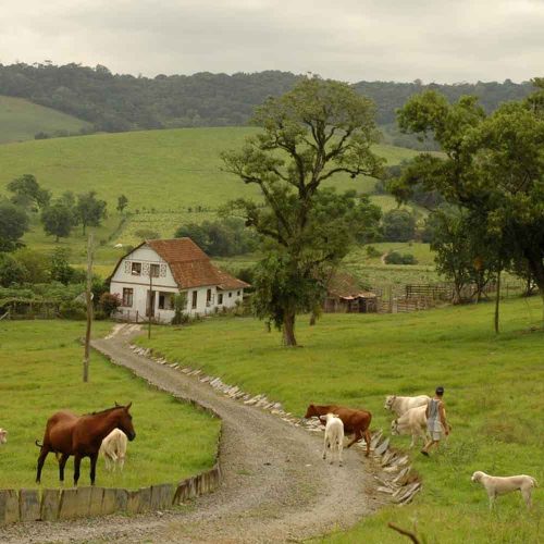 Imovel-rural